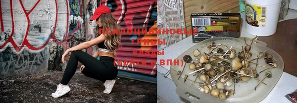 прущая мука Бронницы