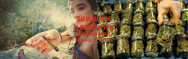 прущие крисы Бугульма